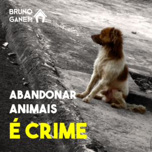Campanhas Bruno Ganem - Abandonar Animais é Crime