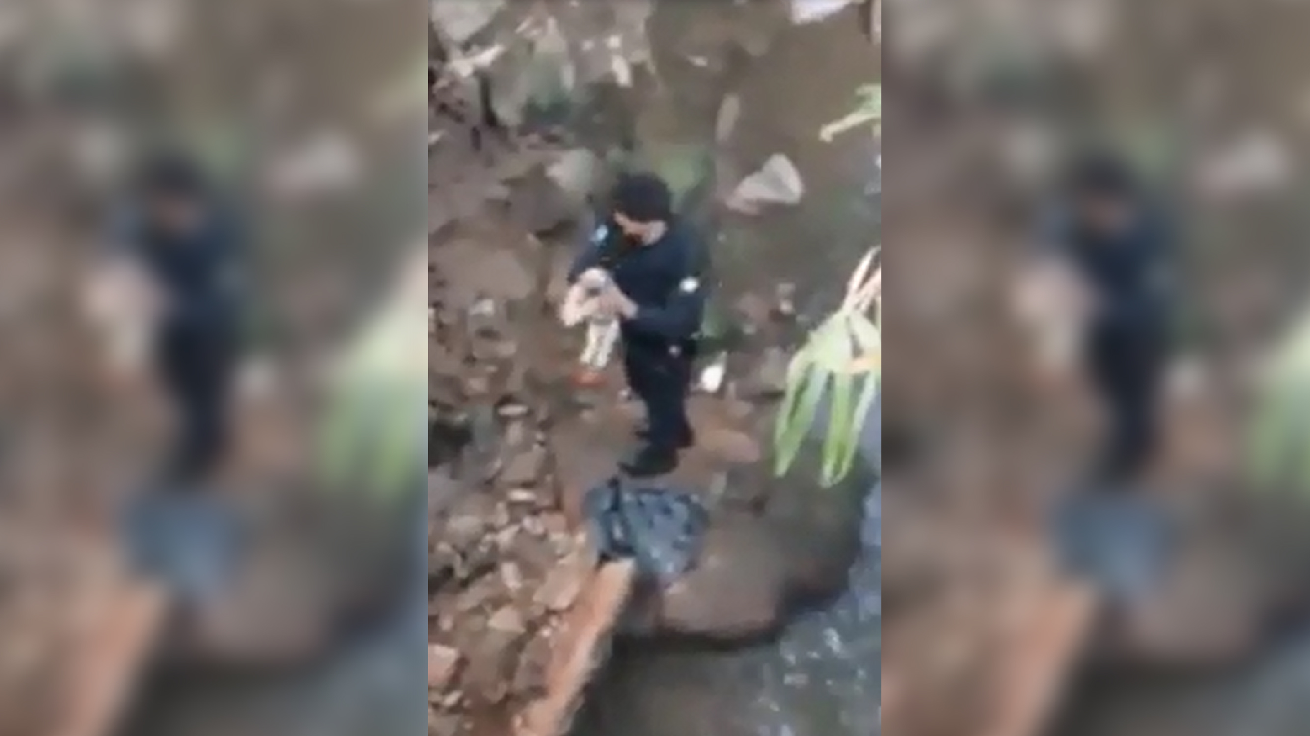 Imagem mostra filhote jogado em rio sendo resgatado